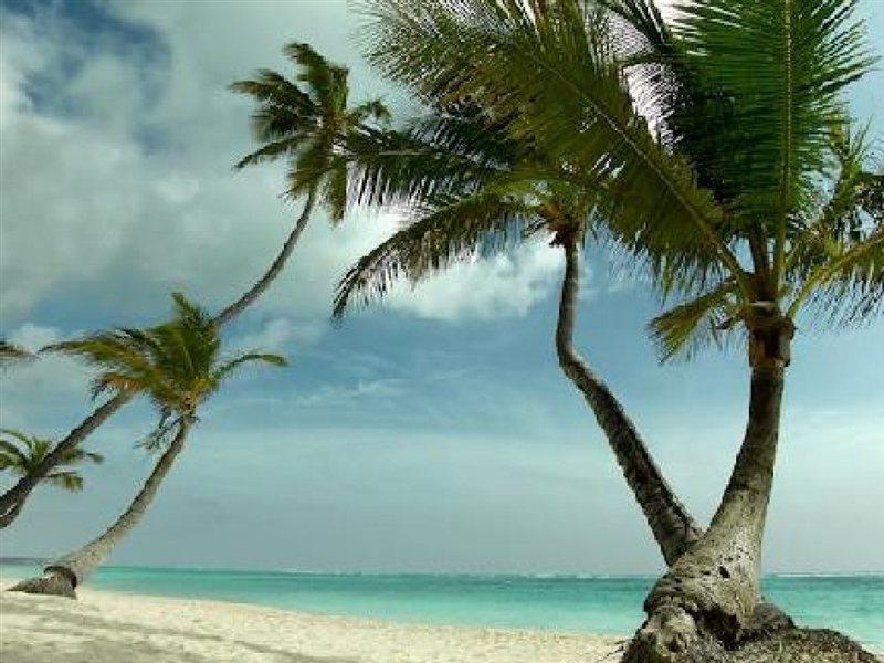 Grand Palladium Palace & Casino Resort Punta Cana